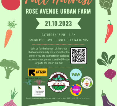 1st Fall Harvest at Rose Avenue Urban Farm!
