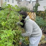 Local student sniffing plants