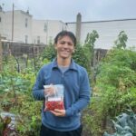 Local student holding bag of cherry tomatoes in garden