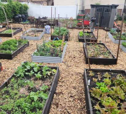Rose Avenue Urban Farm