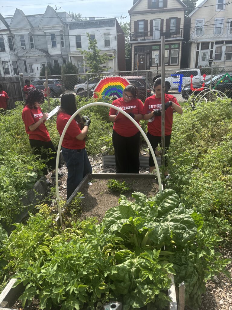 Rose Avenue Urban Farm Programs